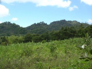 COOPERATIVA ESPAMICA (19)